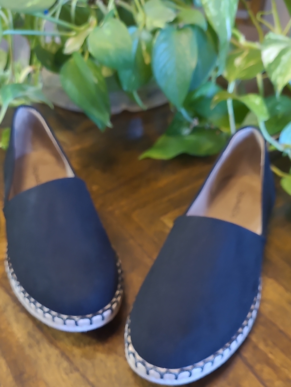 Style & Co Reevee Classic Women's Slip-On Espadrilles in Black